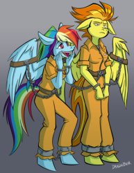 Size: 800x1035 | Tagged: safe, artist:dragonbeak, rainbow dash, spitfire, anthro, g4, bound wings, clothes, commission, cuffs, duo, excited, prison outfit, prisoner rd, shackles, unamused