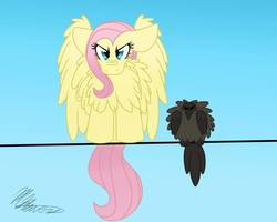 Size: 1000x800 | Tagged: safe, artist:shellythewolf1, fluttershy, bird, g4, behaving like a bird, chest fluff, female, floppy ears, glare, impossibly large chest fluff, looking at you, nose wrinkle, puffed chest, ruffled feathers, solo, spread wings, wires