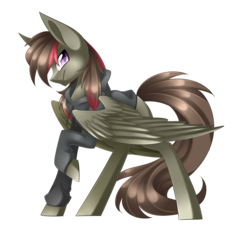Size: 3200x3000 | Tagged: safe, artist:scarlet-spectrum, oc, oc only, oc:blackshadow, pegasus, pony, clothes, commission, high res, hoodie, male, raised hoof, simple background, solo, transparent background