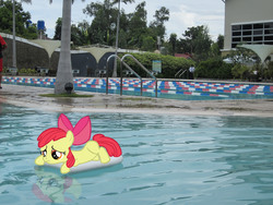 Size: 4000x3000 | Tagged: safe, artist:mtfc1029, apple bloom, earth pony, pony, g4, irl, photo, ponies in real life, sad, swimming pool, vector