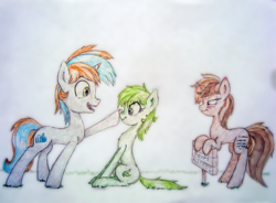 Size: 1200x881 | Tagged: safe, artist:lalieri, oc, oc only, oc:audio spectrum, oc:grass, oc:sign, pony, pony town, boop, colored pencil drawing, traditional art