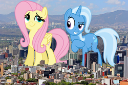 Size: 2500x1667 | Tagged: safe, artist:osipush, artist:sirwarluscake, artist:theotterpony, fluttershy, trixie, pegasus, pony, unicorn, g4, female, giant pony, irl, lesbian, macro, mare, mexico city, photo, ponies in real life, shipping, trixieshy