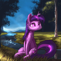 Size: 894x894 | Tagged: safe, artist:auroriia, twilight sparkle, pony, g4, female, forest, looking away, looking up, river, scenery, sitting, solo, stream