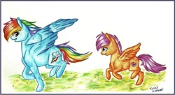 Size: 1307x710 | Tagged: safe, artist:twixyamber, rainbow dash, scootaloo, g4, traditional art