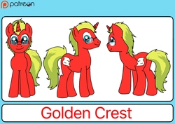 Size: 1200x850 | Tagged: safe, artist:linedraweer, oc, oc only, oc:golden crest, pony, unicorn, male, patreon, patreon logo, reference sheet, solo, stallion