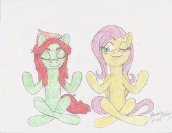 Size: 2193x1700 | Tagged: safe, artist:semijuggalo, fluttershy, tree hugger, earth pony, pegasus, pony, g4, blushing, duo, female, lesbian, lotus position, mare, meditating, peeking, ship:flutterhugger, shipping, smiling, traditional art