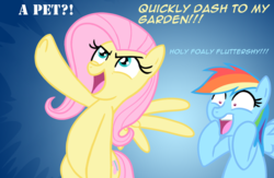 Size: 1009x656 | Tagged: safe, artist:thex-plotion, fluttershy, rainbow dash, g4, may the best pet win, batman, female