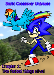 Size: 484x667 | Tagged: safe, artist:sonicanimation23, rainbow dash, g4, crossover, male, ms paint, photoshop, sonic the hedgehog, sonic the hedgehog (series)