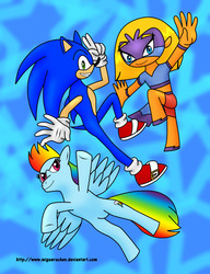 Size: 1144x1489 | Tagged: safe, artist:migueruchan, rainbow dash, g4, azul, combo niños, crossover, male, sonic the hedgehog, sonic the hedgehog (series)