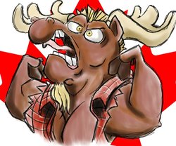 Size: 1024x852 | Tagged: safe, artist:firimil, bulk biceps, moose, g4, canada day, male, solo, species swap