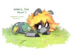 Size: 948x662 | Tagged: safe, artist:kyaokay, oc, oc only, oc:fugly, mule, flower, sad, solo