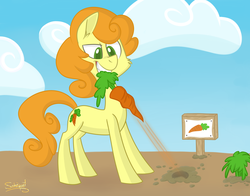 Size: 3000x2350 | Tagged: safe, artist:flourret, carrot top, golden harvest, earth pony, pony, g4, carrot, cheek fluff, cloud, determined, ear fluff, female, food, high res, mare, mouth hold, outdoors, signature, sky, solo, standing