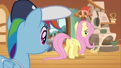 Size: 1100x618 | Tagged: safe, screencap, fluttershy, rainbow dash, pegasus, pony, g4, hurricane fluttershy, butt, coach rainbow dash, duo, eyes on the prize, female, looking at butt, mare, plot