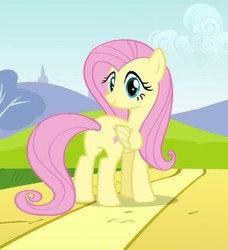 Size: 396x434 | Tagged: safe, screencap, fluttershy, pony, g4, hurricane fluttershy, butt, cropped, female, mare, plot