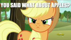 Size: 800x450 | Tagged: safe, edit, edited screencap, screencap, applejack, g4, no second prances, angry, annoyed, caption, discovery family logo, image macro, meme, offended, that pony sure does love apples