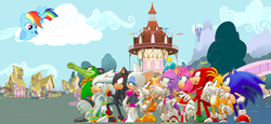 Size: 1024x469 | Tagged: safe, rainbow dash, chao, g4, amy rose, blaze the cat, cheese chao, cloud, cream the rabbit, crossover, knuckles the echidna, male, miles "tails" prower, ponyville, rouge the bat, shadow the hedgehog, silver the hedgehog, sonic the hedgehog, sonic the hedgehog (series), vector the crocodile