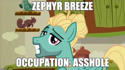 Size: 893x500 | Tagged: safe, edit, edited screencap, screencap, zephyr breeze, pegasus, pony, flutter brutter, g4, caption, image macro, male, meme, scott pilgrim, solo, stallion