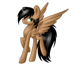 Size: 1024x881 | Tagged: safe, artist:despotshy, oc, oc only, pegasus, pony, simple background, solo, transparent background