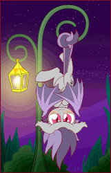 Size: 675x1050 | Tagged: safe, artist:symbianl, oc, oc only, oc:sunny sheila, bat pony, pony, :3, animated, bat pony oc, behaving like a bat, blushing, cute, floppy ears, hanging, lamppost, lidded eyes, looking at you, night, prehensile tail, smiling, solo, spread wings, upside down, ych result