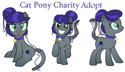 Size: 1024x588 | Tagged: safe, artist:monkfishyadopts, oc, oc only, oc:cat pony, cat pony, original species, bell, bell collar, chest fluff, collar, female, simple background, smiling, transparent background