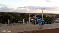 Size: 1920x1078 | Tagged: safe, artist:alfamaster, dj pon-3, vinyl scratch, g4, brazil, irl, photo, piauí, piripiri, ponies around the world, toy