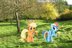 Size: 1600x1068 | Tagged: safe, artist:mysteriouskaos, artist:sakatagintoki117, artist:uponia, applejack, rainbow dash, human, pony, g4, apple cider, apple orchard, cowboy hat, england, hat, irl, open mouth, photo, ponies in real life, smiling, somerset, stetson, tankard, vector