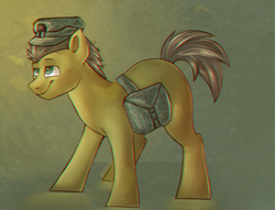 Size: 2000x1527 | Tagged: safe, artist:segraece, oc, oc only, oc:steel ivy, bag, camouflage, chromatic aberration, commission, hat, solo