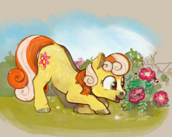 Size: 1200x960 | Tagged: safe, artist:spectralunicorn, junebug, bee, g4, crouching, female, flower, grass, open mouth, solo