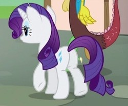 Size: 329x274 | Tagged: safe, screencap, discord, rarity, pony, g4, what about discord?, butt, cropped, female, mare, plot