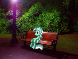 Size: 2048x1536 | Tagged: safe, artist:bonycasttle, lyra heartstrings, pony, unicorn, g4, bench, hedge, irl, light, night, park, photo, ponies in real life, shadow, sitting, sitting lyra, smiling, solo, vector