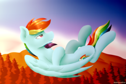 Size: 3000x2000 | Tagged: safe, artist:spirit-dude, rainbow dash, pegasus, pony, g4, cloud, female, flying, forest, high res, looking up, lying down, on back, pine tree, solo, sunset, tree, upside down