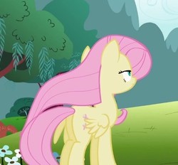 Size: 444x412 | Tagged: safe, screencap, fluttershy, pony, g4, lesson zero, butt, cropped, female, mare, plot
