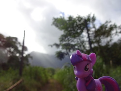 Size: 4896x3672 | Tagged: safe, derpibooru exclusive, part of a set, photographer:drakkenfyre, twilight sparkle, g4, blind bag, hawaii, irl, jungle, jurassic park, kauai, mountain, photo, ponies around the world, solo, toy