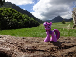 Size: 4896x3672 | Tagged: safe, derpibooru exclusive, part of a set, photographer:drakkenfyre, twilight sparkle, g4, blind bag, hawaii, irl, jurassic park, kauai, mountain, photo, ponies around the world, solo, toy