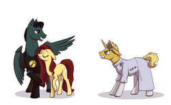 Size: 1298x800 | Tagged: safe, artist:28gooddays, earth pony, pegasus, pony, unicorn, captain hammer, doctor horrible, dr. horrible's sing-along blog, penny (dr. horrible's sing-along blog), ponified, simple background, white background