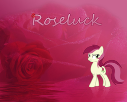 Size: 1280x1024 | Tagged: safe, artist:ocarina0ftimelord, artist:saeiter, roseluck, earth pony, pony, g4, flower, pose, red, reflection, rose, show accurate, vector, wallpaper, water