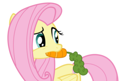 Size: 5000x3260 | Tagged: dead source, safe, artist:nevermattie, fluttershy, dragonshy, g4, carrot, cute, digital art, female, food, mouth hold, shyabetes, simple background, solo, transparent background, vector