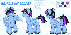 Size: 3000x1517 | Tagged: safe, artist:deep mystery, oc, oc only, oc:glacier wind, pegasus, pony, blushing, butt, commission, looking at you, looking back, plot, reference sheet, solo, spread wings, unshorn fetlocks