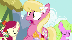 Size: 1920x1080 | Tagged: safe, screencap, daisy, flower wishes, lily, lily valley, roseluck, pony, g4, slice of life (episode), bouquet, eyes closed, female, flower trio, no, shocked, trio, trio female
