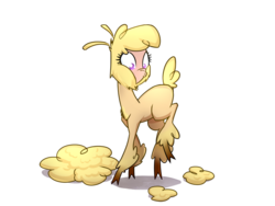 Size: 800x600 | Tagged: safe, artist:az-pekt, paprika (tfh), alpaca, them's fightin' herds, community related, cute, female, looking back, pouting, raised leg, shaved, simple background, solo, transparent background, wide eyes