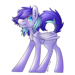 Size: 2448x2448 | Tagged: safe, artist:coralcloud, oc, oc only, pegasus, pony, high res, solo
