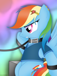 Size: 1892x2522 | Tagged: safe, artist:iflysna94, rainbow dash, pony, g4, collar, female, leash, solo