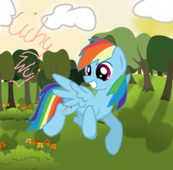 Size: 1810x1773 | Tagged: safe, artist:kotelen, rainbow dash, pegasus, pony, g4, female, flying, solo