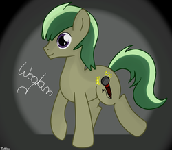 Size: 800x700 | Tagged: safe, artist:kotelen, oc, oc only, oc:woglan, earth pony, pony, solo