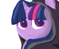 Size: 1200x1000 | Tagged: safe, artist:ch33zus, twilight sparkle, pony, g4, clothes, female, hoodie, solo