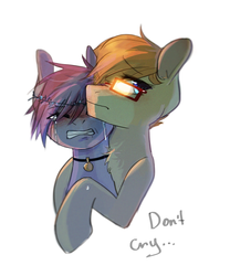 Size: 1000x1200 | Tagged: safe, artist:asianpony, oc, oc only, oc:lino, comforting, crying, jewelry, necklace