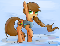 Size: 1024x785 | Tagged: safe, artist:royalshine, oc, oc only, earth pony, pony, blue background, braid, female, mare, raised hoof, simple background, solo, weather team, winter wrap up vest