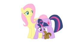 Size: 1600x900 | Tagged: safe, artist:iraecoal, fluttershy, twilight sparkle, pegasus, pony, squirrel, unicorn, g4, boop, female, lesbian, mare, noseboop, ship:twishy, shipping, simple background, transparent background, unicorn twilight