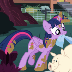 Size: 530x530 | Tagged: safe, screencap, fluttershy, twilight sparkle, alicorn, pig, pony, castle sweet castle, g4, season 5, animated, cleaning, cute, female, mud, offscreen character, twiabetes, twilight sparkle (alicorn)