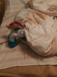 Size: 760x1024 | Tagged: artist needed, safe, butt, clothes, face down ass up, irl, israel, photo, plot, plushie, ponified, rainbow tail, socks, star of david
